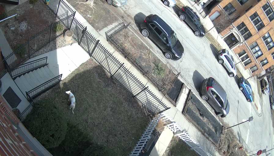 Reolink Camera Two_01_Reolink Home Hub One_20260320143814.jpg